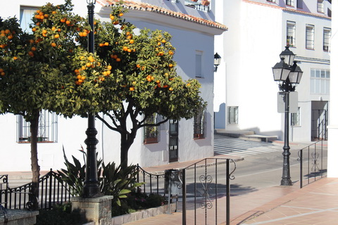 Mijas Orangenbaum im Ort Städte und Dörfer